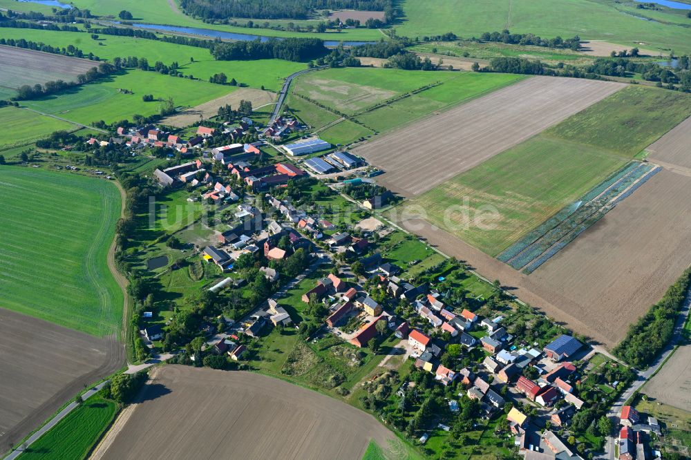 Dabrun aus der Vogelperspektive: Ortsansicht am Rande von landwirtschaftlichen Feldern in Dabrun im Bundesland Sachsen-Anhalt, Deutschland