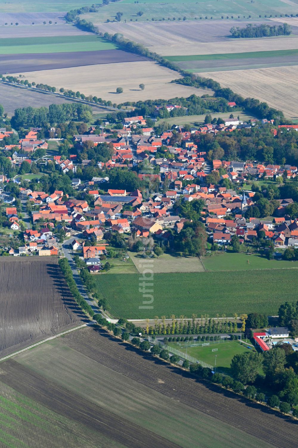 Dedeleben aus der Vogelperspektive: Ortsansicht am Rande von landwirtschaftlichen Feldern in Dedeleben im Bundesland Sachsen-Anhalt, Deutschland