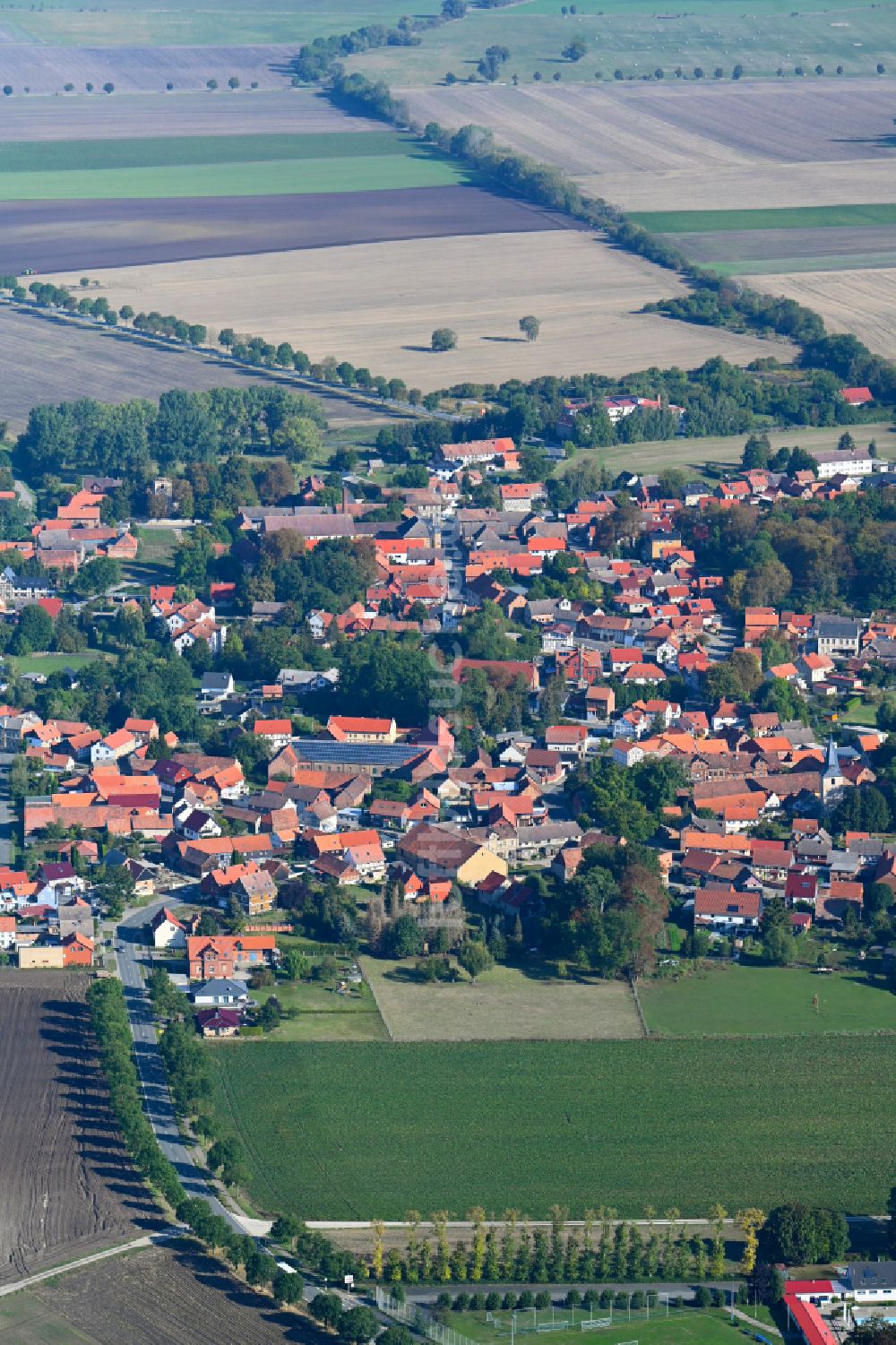 Luftbild Dedeleben - Ortsansicht am Rande von landwirtschaftlichen Feldern in Dedeleben im Bundesland Sachsen-Anhalt, Deutschland