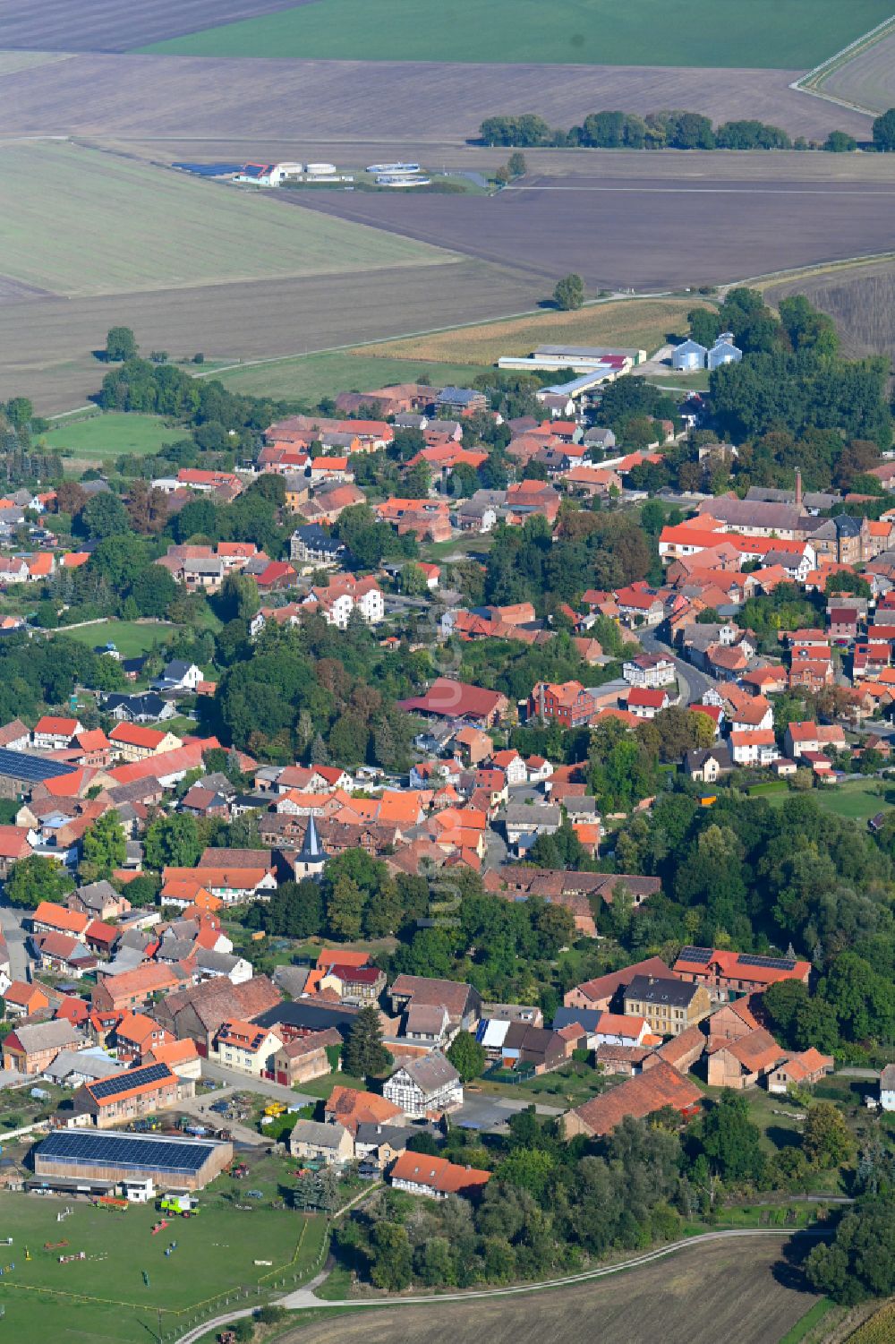 Luftbild Dedeleben - Ortsansicht am Rande von landwirtschaftlichen Feldern in Dedeleben im Bundesland Sachsen-Anhalt, Deutschland