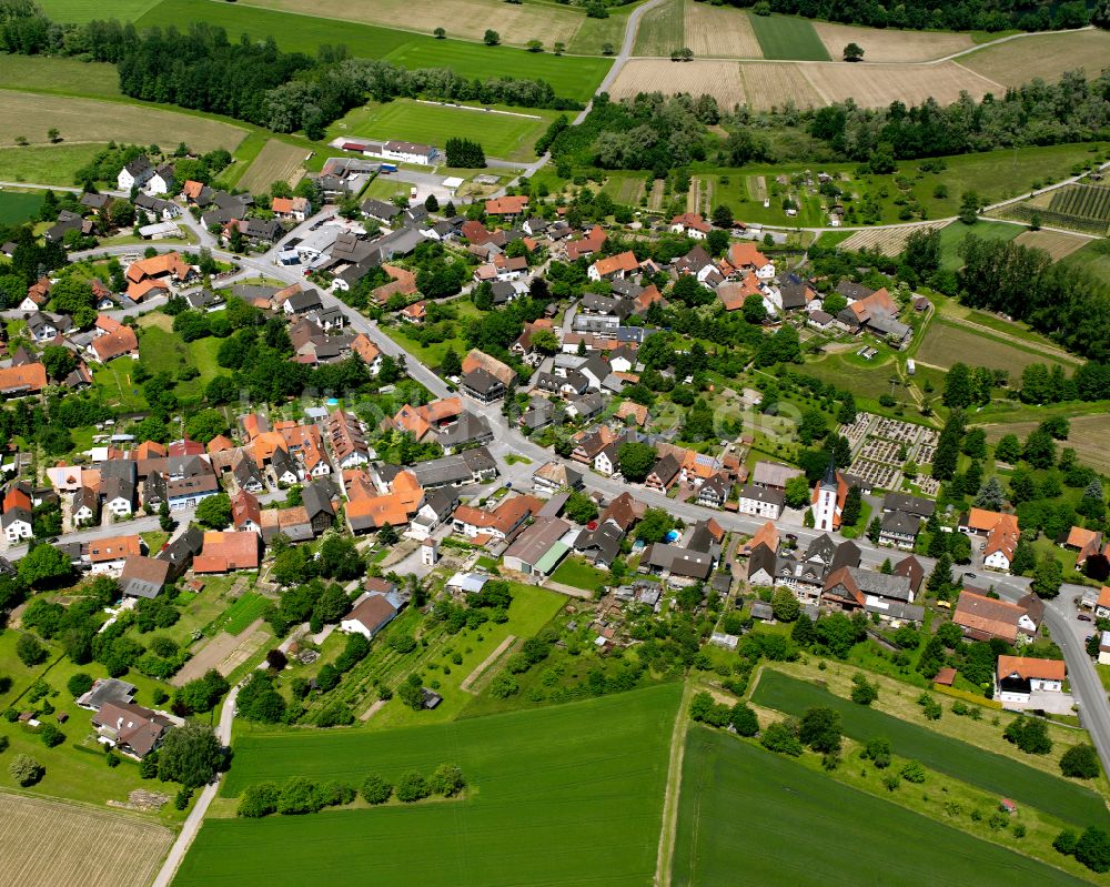 Luftaufnahme Diersheim - Ortsansicht am Rande von landwirtschaftlichen Feldern in Diersheim im Bundesland Baden-Württemberg, Deutschland