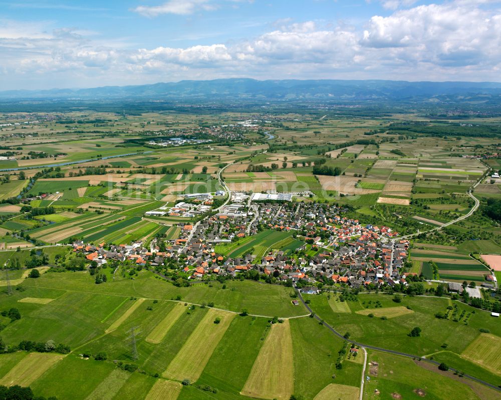 Luftbild Eckartsweier - Ortsansicht am Rande von landwirtschaftlichen Feldern in Eckartsweier im Bundesland Baden-Württemberg, Deutschland