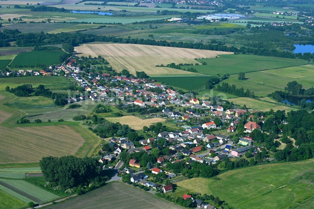 Brandenburg an der Havel aus der Vogelperspektive: Ortsansicht am Rande von landwirtschaftlichen Feldern entlang der Schlossallee in Brandenburg an der Havel im Bundesland Brandenburg, Deutschland