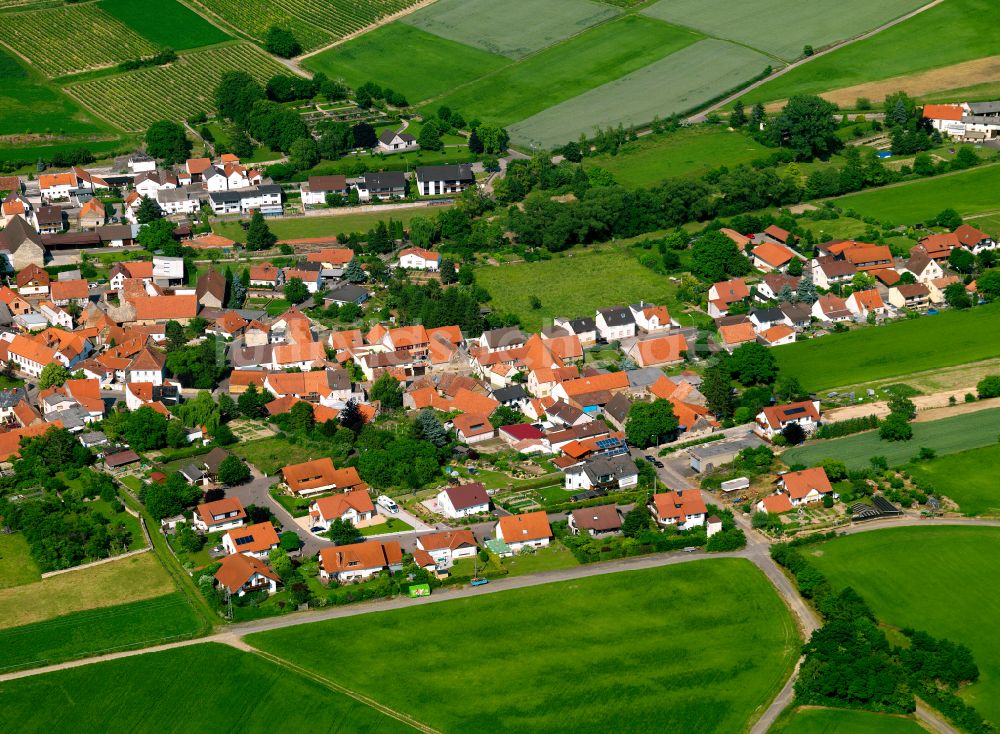 Gauersheim von oben - Ortsansicht am Rande von landwirtschaftlichen Feldern in Gauersheim im Bundesland Rheinland-Pfalz, Deutschland