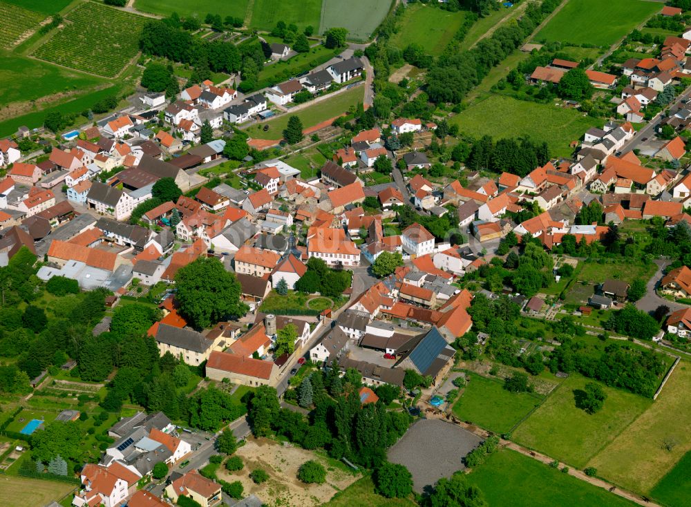 Gauersheim aus der Vogelperspektive: Ortsansicht am Rande von landwirtschaftlichen Feldern in Gauersheim im Bundesland Rheinland-Pfalz, Deutschland