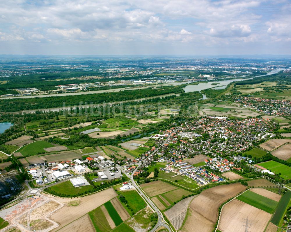 Luftaufnahme Goldscheuer - Ortsansicht am Rande von landwirtschaftlichen Feldern in Goldscheuer im Bundesland Baden-Württemberg, Deutschland