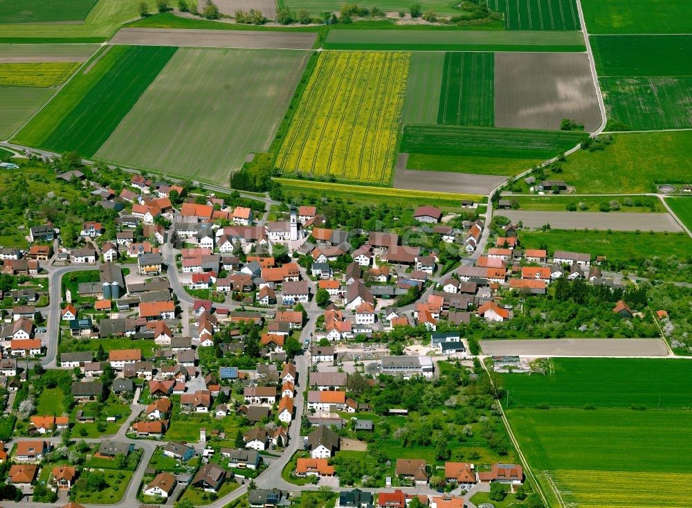 Griesingen aus der Vogelperspektive: Ortsansicht am Rande von landwirtschaftlichen Feldern in Griesingen im Bundesland Baden-Württemberg, Deutschland