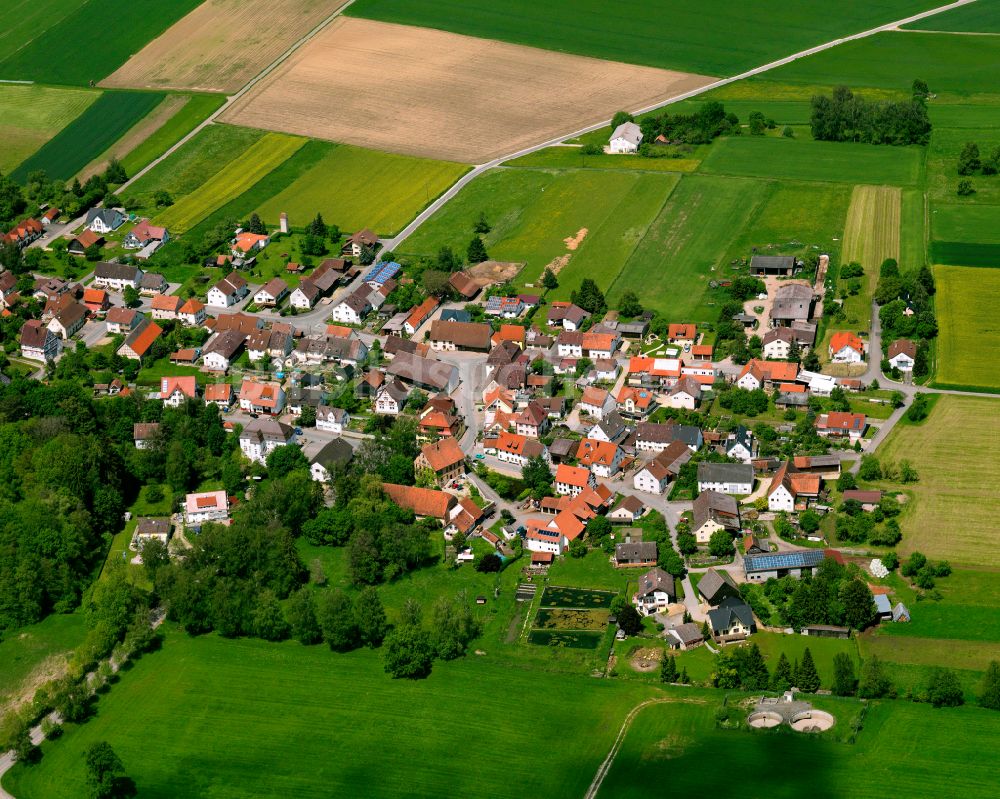 Grüningen aus der Vogelperspektive: Ortsansicht am Rande von landwirtschaftlichen Feldern in Grüningen im Bundesland Baden-Württemberg, Deutschland