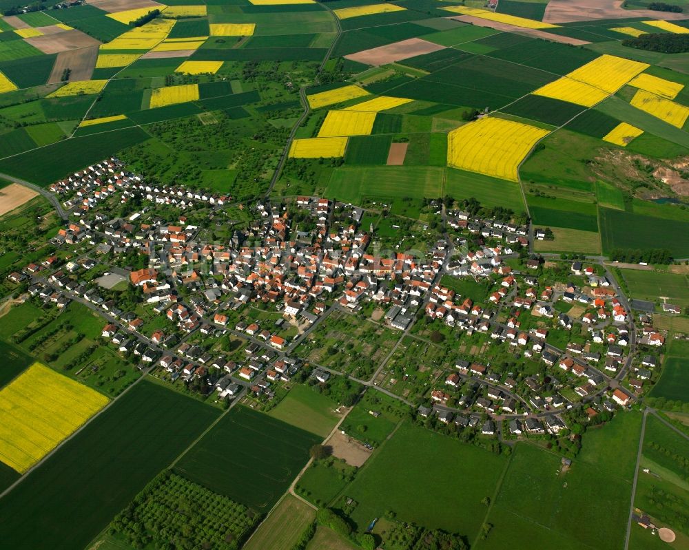 Luftbild Grüningen - Ortsansicht am Rande von landwirtschaftlichen Feldern in Grüningen im Bundesland Hessen, Deutschland