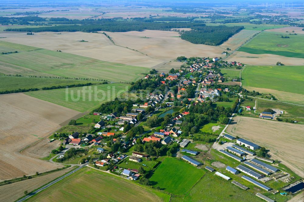 Hohenreinkendorf aus der Vogelperspektive: Ortsansicht am Rande von landwirtschaftlichen Feldern in Hohenreinkendorf im Bundesland Brandenburg, Deutschland