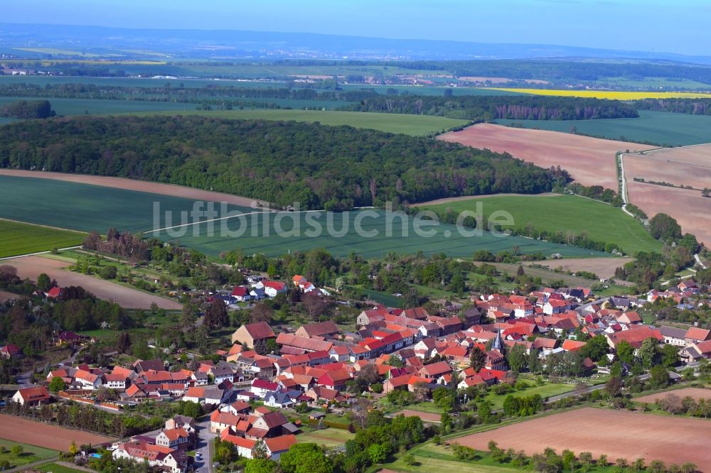 Luftbild Holzsußra - Ortsansicht am Rande von landwirtschaftlichen Feldern in Holzsußra im Bundesland Thüringen, Deutschland