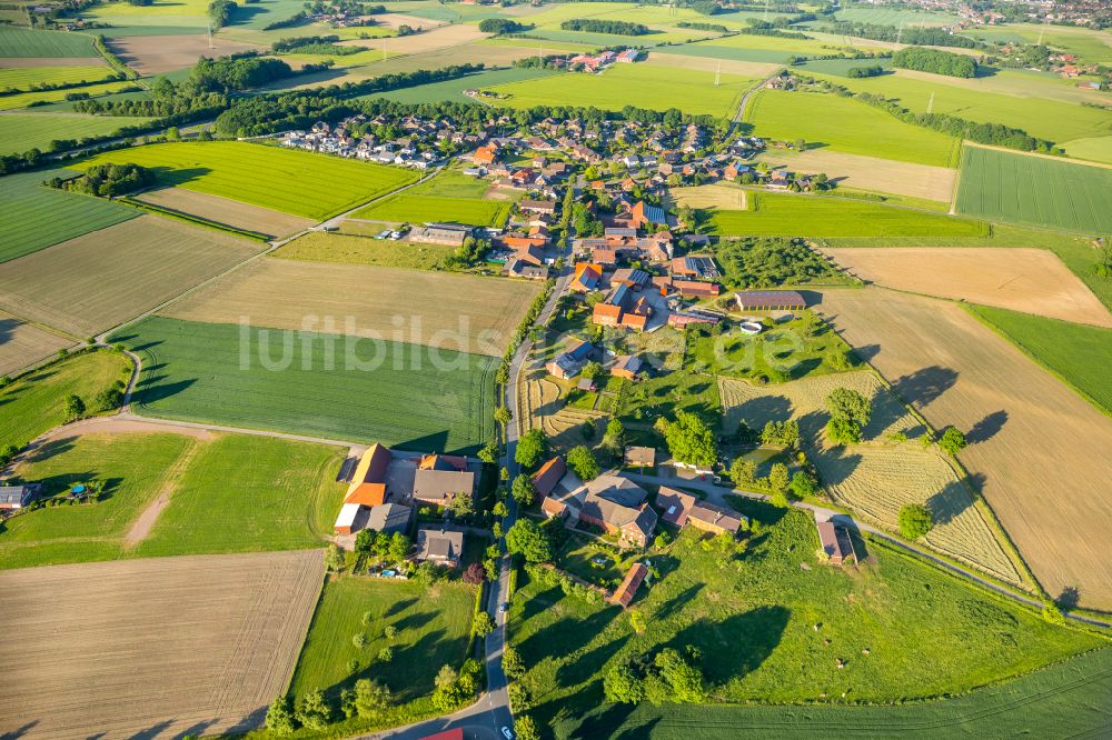 Horst aus der Vogelperspektive: Ortsansicht am Rande von landwirtschaftlichen Feldern in Horst im Bundesland Nordrhein-Westfalen, Deutschland