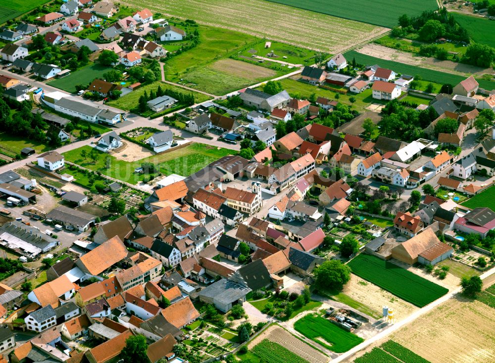 Luftbild Ilbesheim - Ortsansicht am Rande von landwirtschaftlichen Feldern in Ilbesheim im Bundesland Rheinland-Pfalz, Deutschland