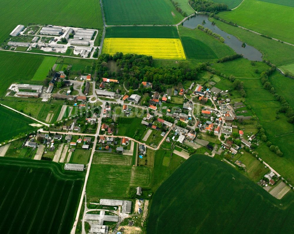 Isterbies aus der Vogelperspektive: Ortsansicht am Rande von landwirtschaftlichen Feldern in Isterbies im Bundesland Sachsen-Anhalt, Deutschland