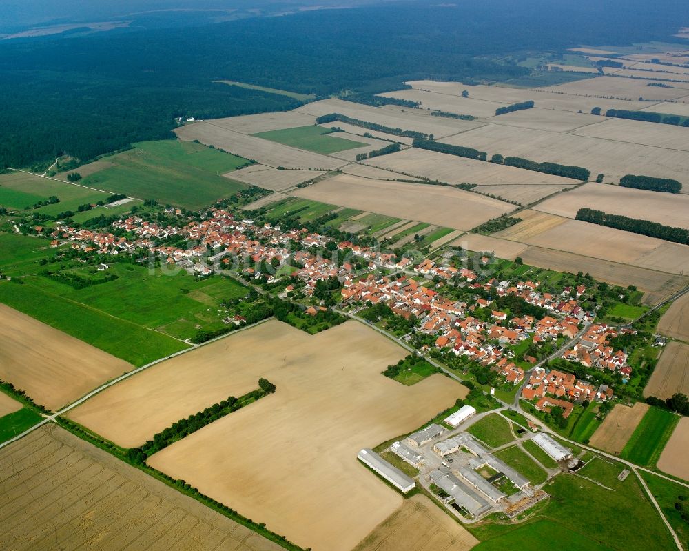 Kammerforst aus der Vogelperspektive: Ortsansicht am Rande von landwirtschaftlichen Feldern in Kammerforst im Bundesland Thüringen, Deutschland