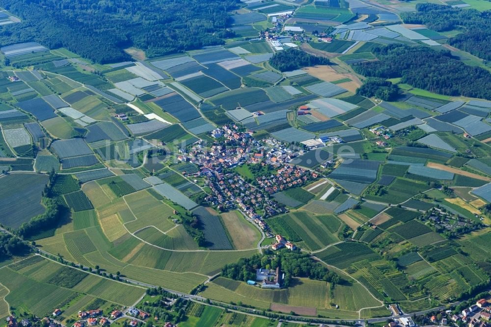 Luftaufnahme Kippenhausen - Ortsansicht am Rande von landwirtschaftlichen Feldern in Kippenhausen im Bundesland Baden-Württemberg, Deutschland