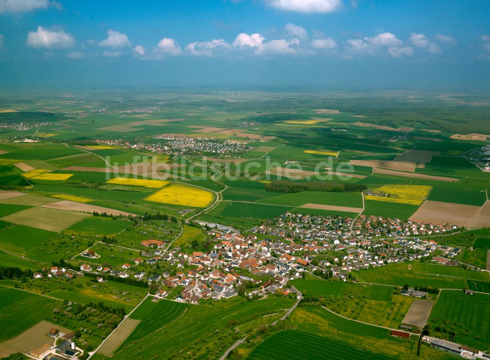 Langenau von oben - Ortsansicht am Rande von landwirtschaftlichen Feldern in Langenau im Bundesland Baden-Württemberg, Deutschland