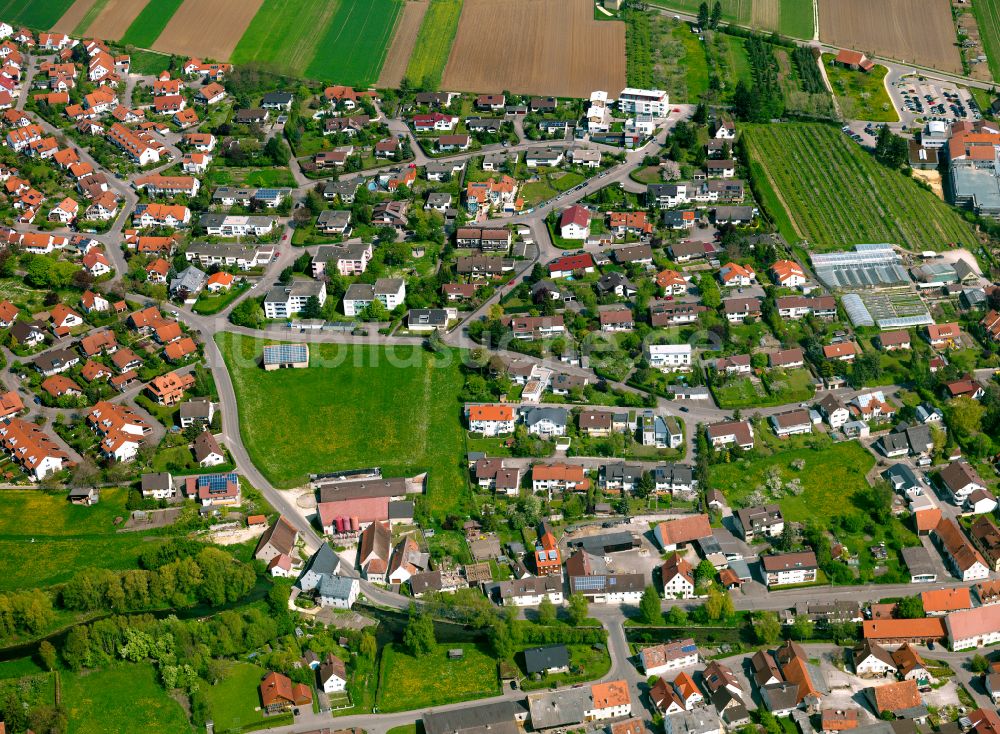 Luftaufnahme Langenau - Ortsansicht am Rande von landwirtschaftlichen Feldern in Langenau im Bundesland Baden-Württemberg, Deutschland