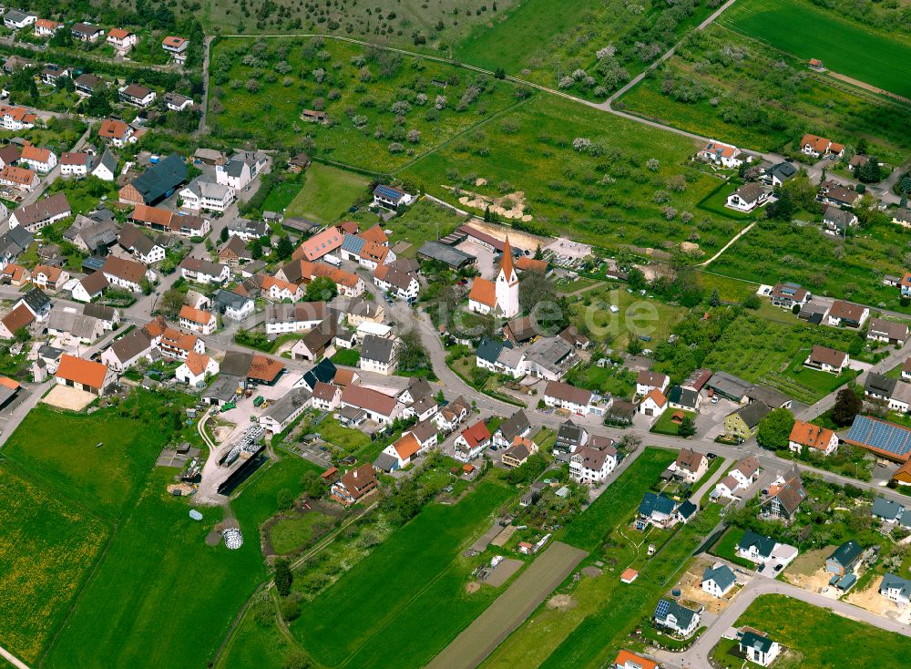 Luftbild Langenau - Ortsansicht am Rande von landwirtschaftlichen Feldern in Langenau im Bundesland Baden-Württemberg, Deutschland