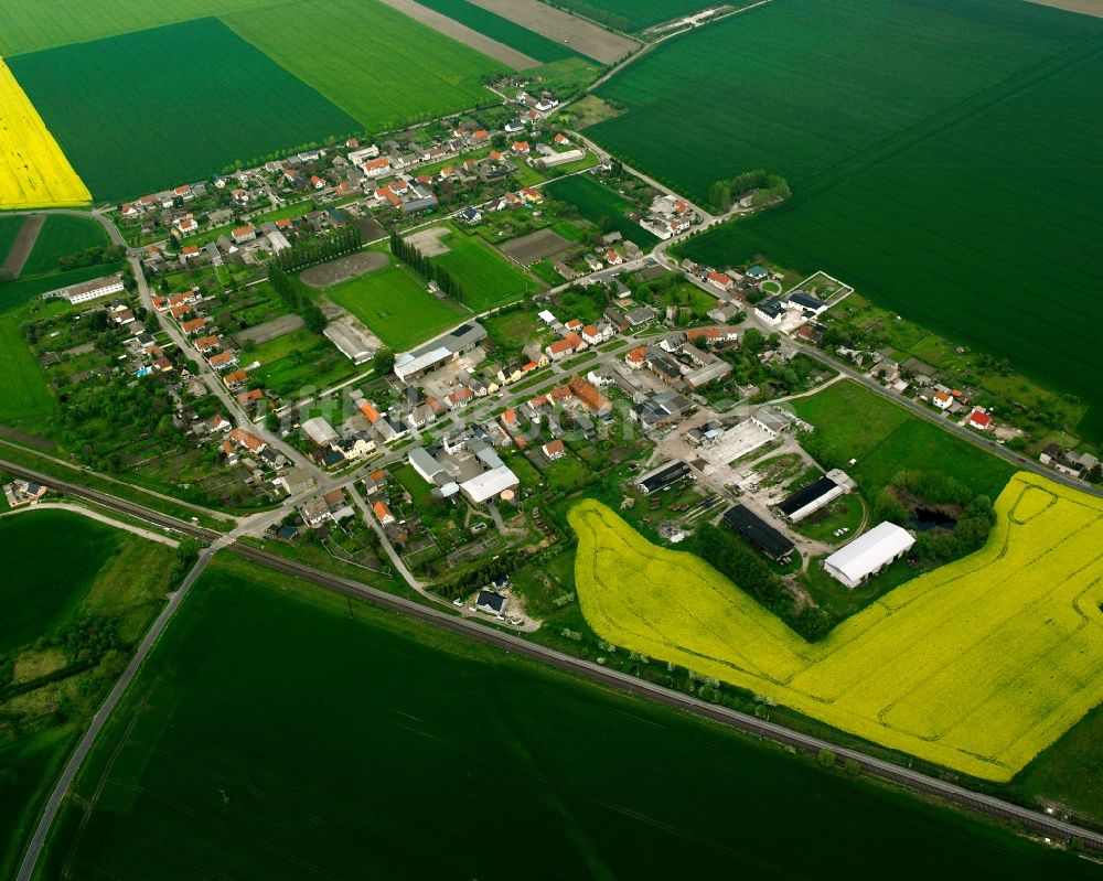 Lübs von oben - Ortsansicht am Rande von landwirtschaftlichen Feldern in Lübs im Bundesland Sachsen-Anhalt, Deutschland