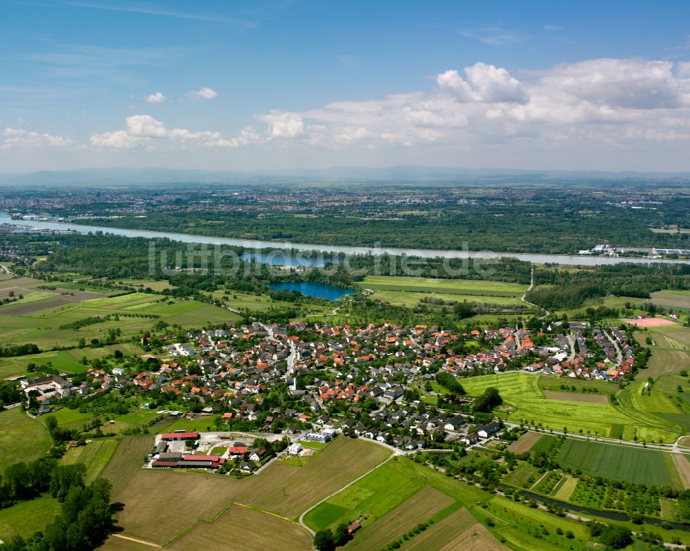 Luftbild Leutesheim - Ortsansicht am Rande von landwirtschaftlichen Feldern in Leutesheim im Bundesland Baden-Württemberg, Deutschland