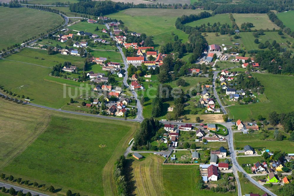 Lieske von oben - Ortsansicht am Rande von landwirtschaftlichen Feldern in Lieske im Bundesland Sachsen, Deutschland