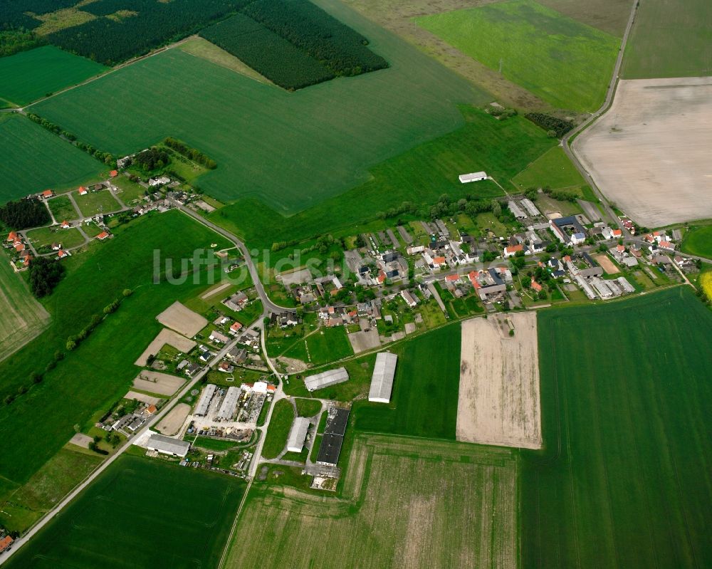 Luko von oben - Ortsansicht am Rande von landwirtschaftlichen Feldern in Luko im Bundesland Sachsen-Anhalt, Deutschland