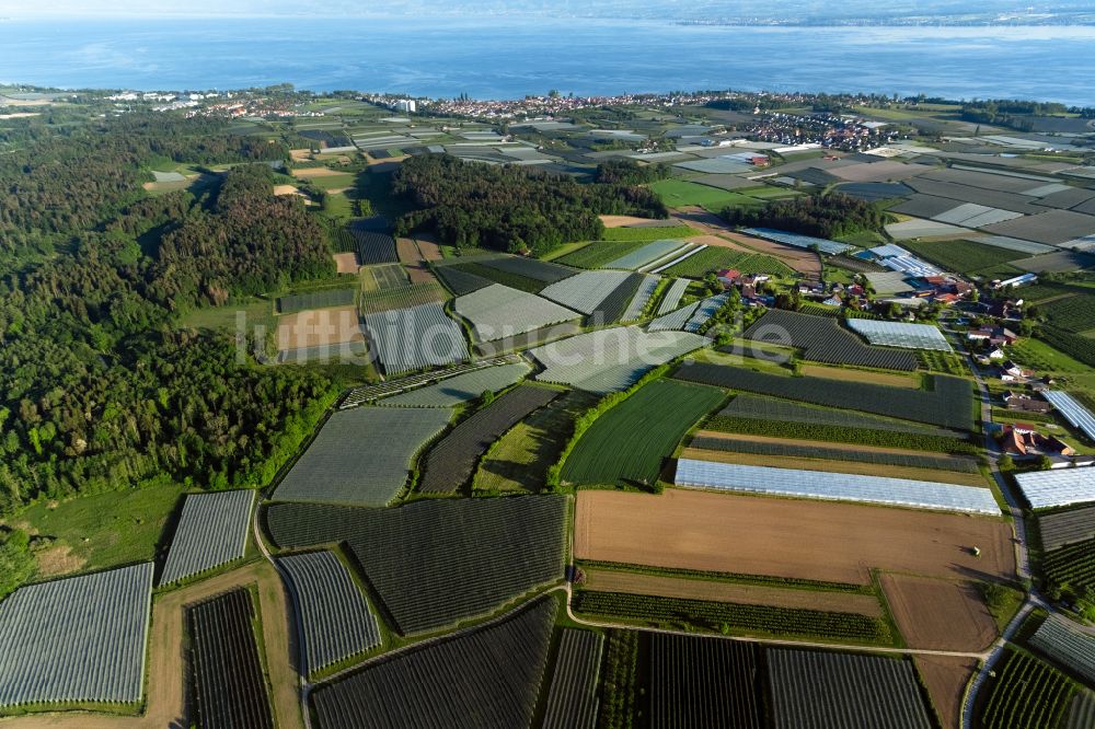 Luftbild Markdorf - Ortsansicht am Rande von landwirtschaftlichen Feldern in Markdorf im Bundesland Baden-Württemberg, Deutschland