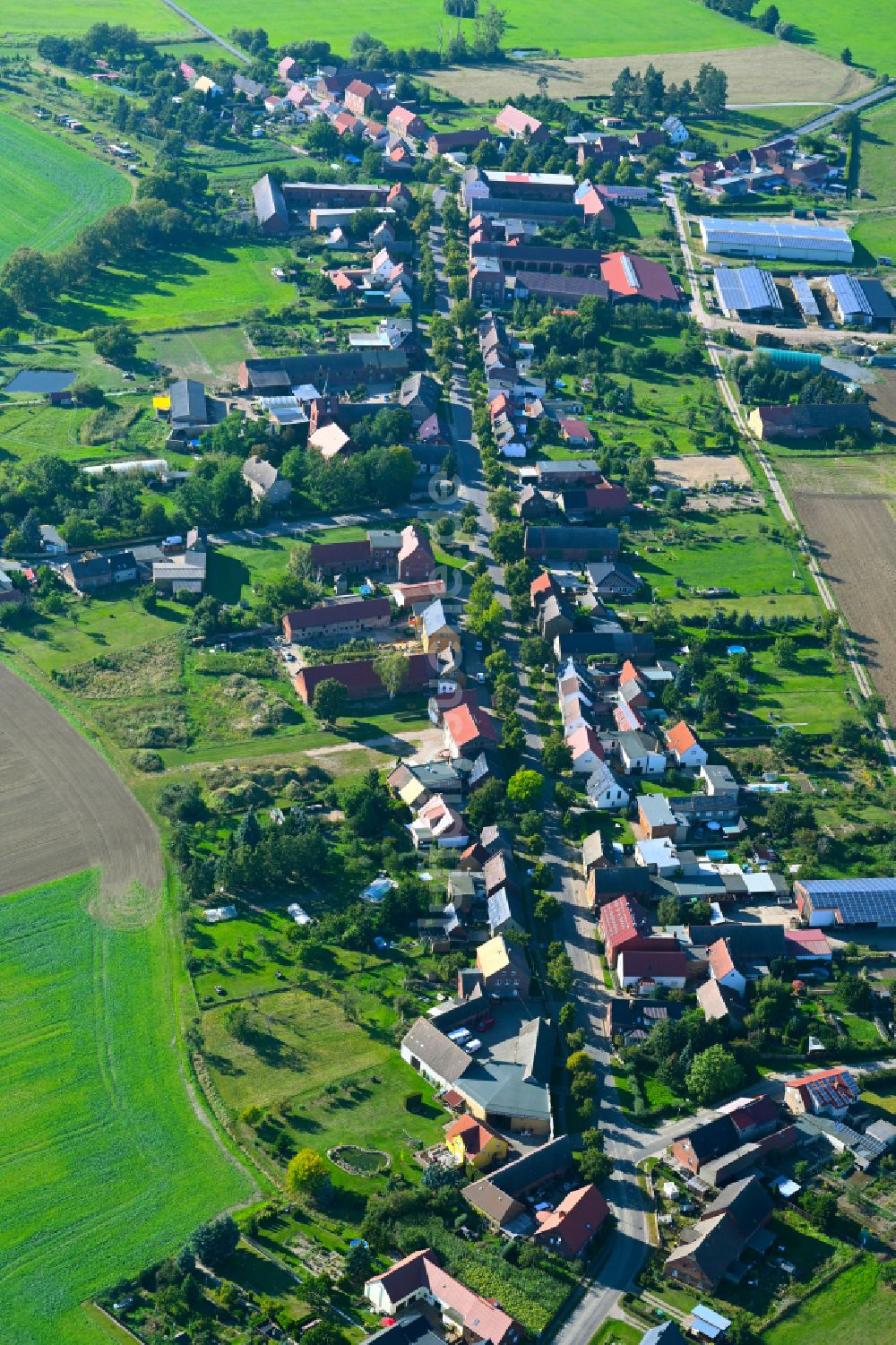 Melzwig aus der Vogelperspektive: Ortsansicht am Rande von landwirtschaftlichen Feldern in Melzwig im Bundesland Sachsen-Anhalt, Deutschland