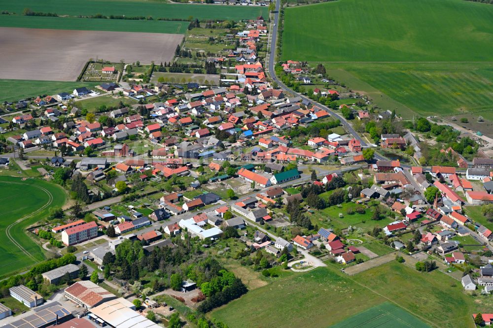 Luftbild Miesterhorst - Ortsansicht am Rande von landwirtschaftlichen Feldern in Miesterhorst im Bundesland Sachsen-Anhalt, Deutschland