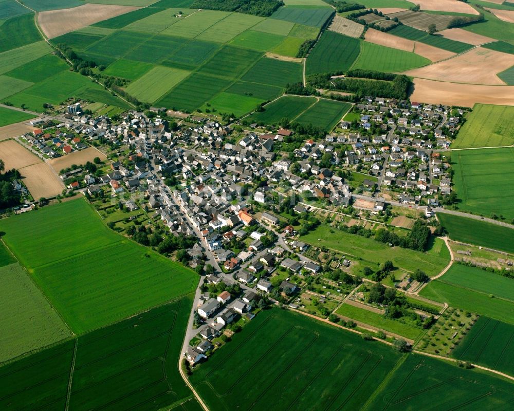 Luftaufnahme Nauheim - Ortsansicht am Rande von landwirtschaftlichen Feldern in Nauheim im Bundesland Hessen, Deutschland