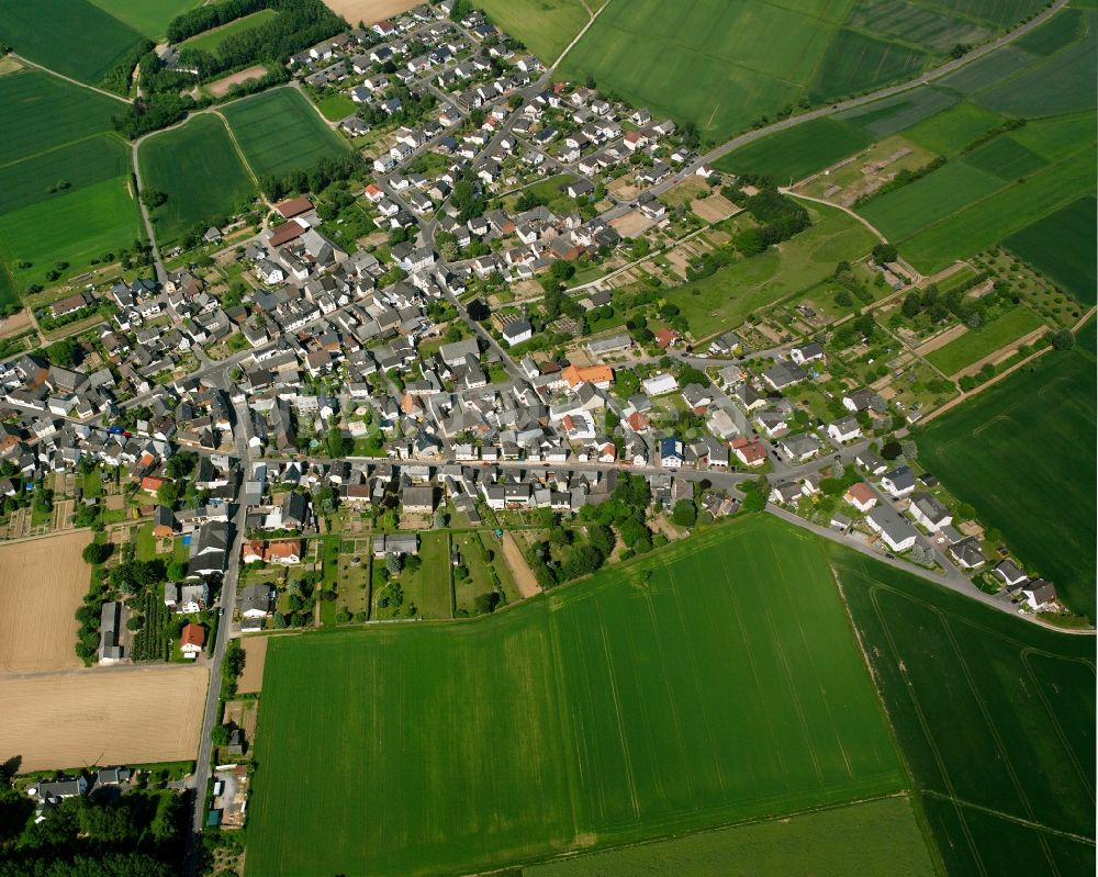 Nauheim von oben - Ortsansicht am Rande von landwirtschaftlichen Feldern in Nauheim im Bundesland Hessen, Deutschland