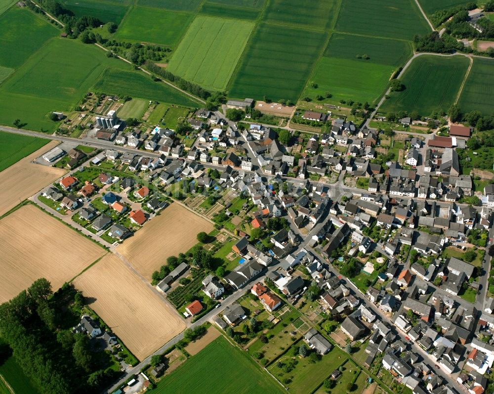 Nauheim aus der Vogelperspektive: Ortsansicht am Rande von landwirtschaftlichen Feldern in Nauheim im Bundesland Hessen, Deutschland