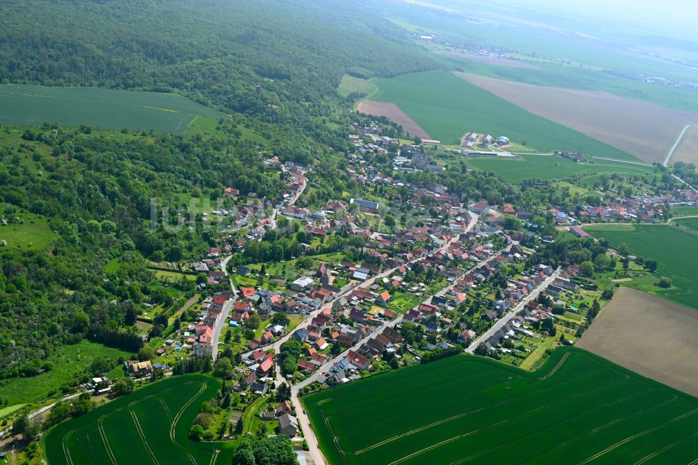 Neuglück von oben - Ortsansicht am Rande von landwirtschaftlichen Feldern in Neuglück im Bundesland Sachsen-Anhalt, Deutschland