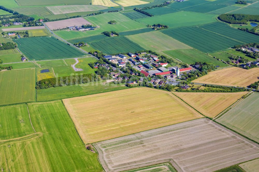 Luftbild Neukirchen - Ortsansicht am Rande von landwirtschaftlichen Feldern in Neukirchen im Bundesland Schleswig-Holstein, Deutschland