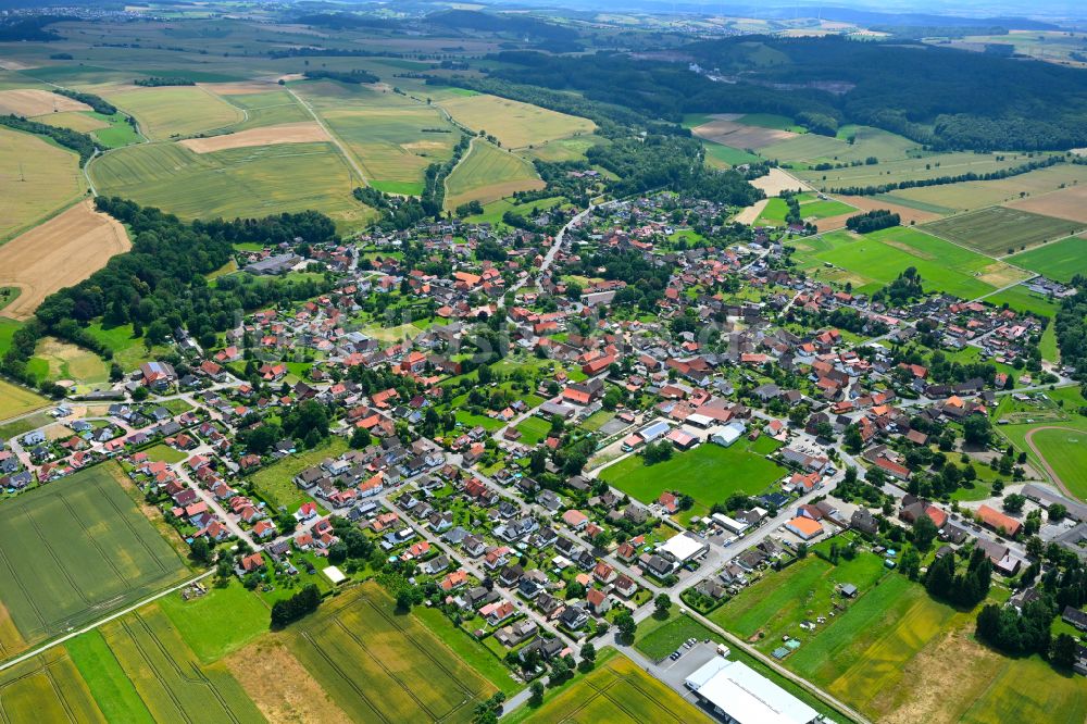 Nienstedt am Harz aus der Vogelperspektive: Ortsansicht am Rande von landwirtschaftlichen Feldern in Nienstedt am Harz im Bundesland Niedersachsen, Deutschland