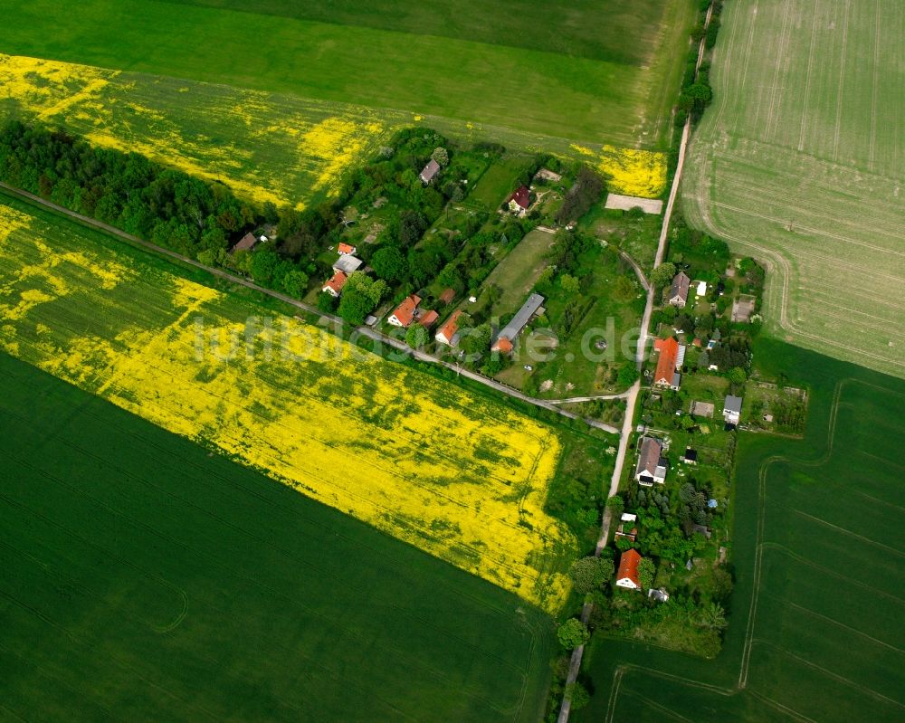 Luftbild Padegrim - Ortsansicht am Rande von landwirtschaftlichen Feldern in Padegrim im Bundesland Sachsen-Anhalt, Deutschland