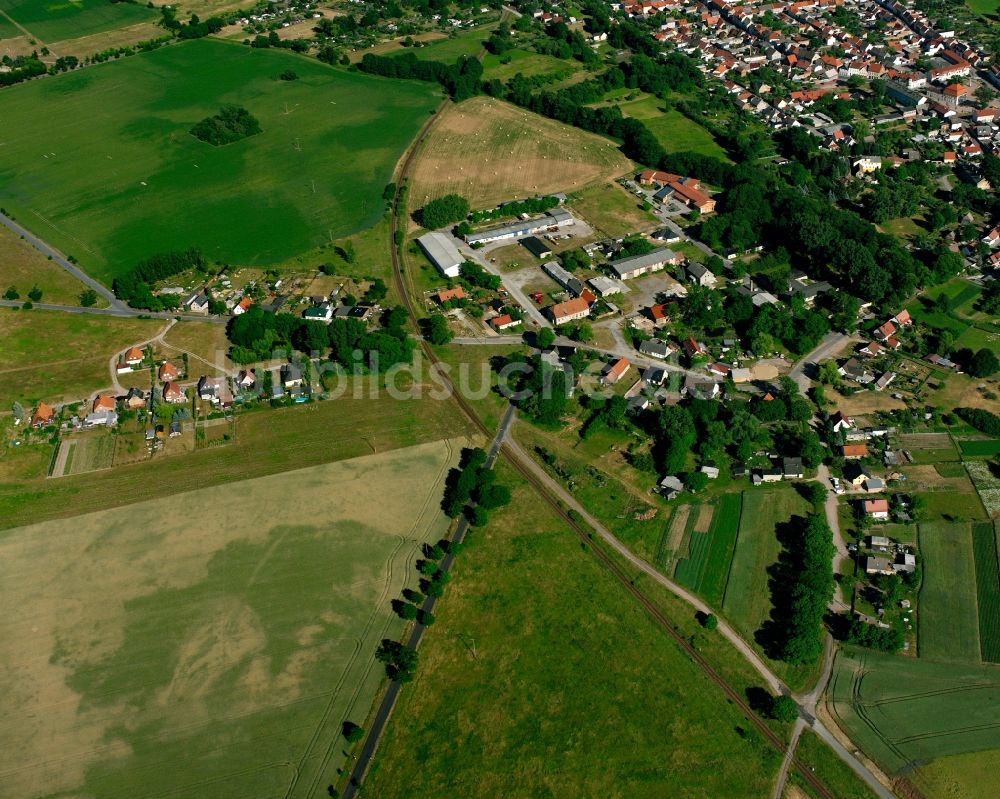 Padegrim aus der Vogelperspektive: Ortsansicht am Rande von landwirtschaftlichen Feldern in Padegrim im Bundesland Sachsen-Anhalt, Deutschland