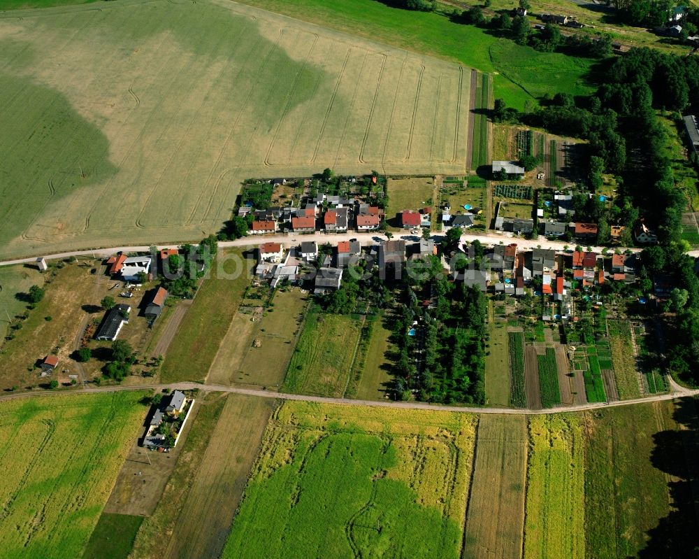 Luftaufnahme Padegrim - Ortsansicht am Rande von landwirtschaftlichen Feldern in Padegrim im Bundesland Sachsen-Anhalt, Deutschland