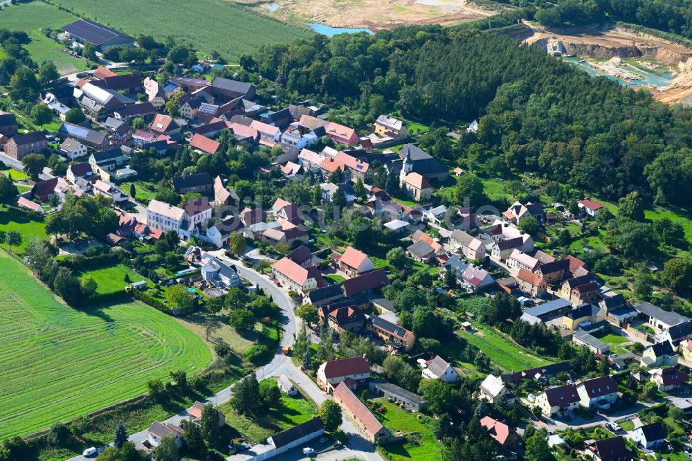 Prießnitz von oben - Ortsansicht am Rande von landwirtschaftlichen Feldern in Prießnitz im Bundesland Sachsen-Anhalt, Deutschland