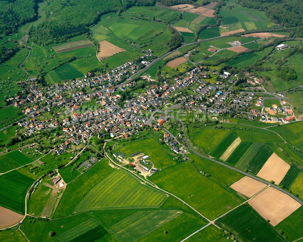 Rainrod von oben - Ortsansicht am Rande von landwirtschaftlichen Feldern in Rainrod im Bundesland Hessen, Deutschland