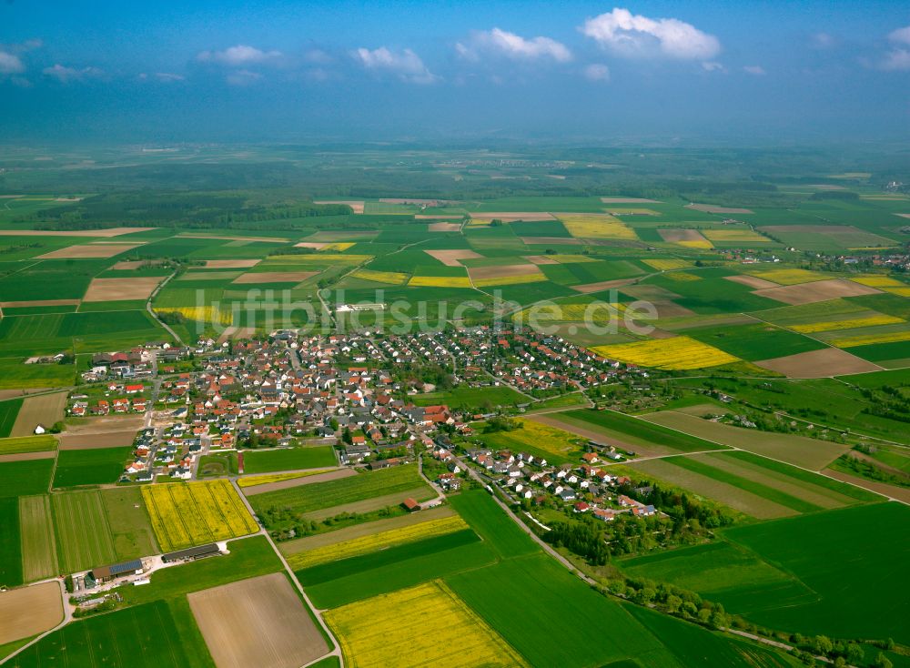 Luftaufnahme Rammingen - Ortsansicht am Rande von landwirtschaftlichen Feldern in Rammingen im Bundesland Baden-Württemberg, Deutschland