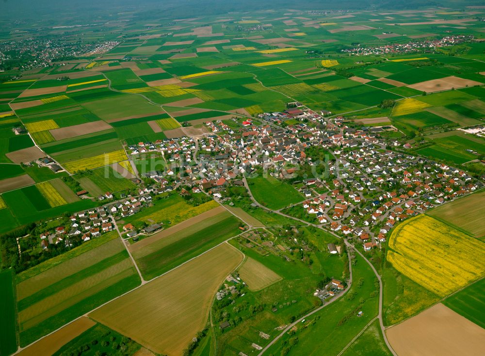 Rammingen von oben - Ortsansicht am Rande von landwirtschaftlichen Feldern in Rammingen im Bundesland Baden-Württemberg, Deutschland