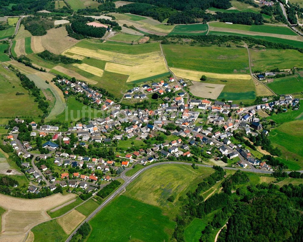 Reichenbach von oben - Ortsansicht am Rande von landwirtschaftlichen Feldern in Reichenbach im Bundesland Rheinland-Pfalz, Deutschland