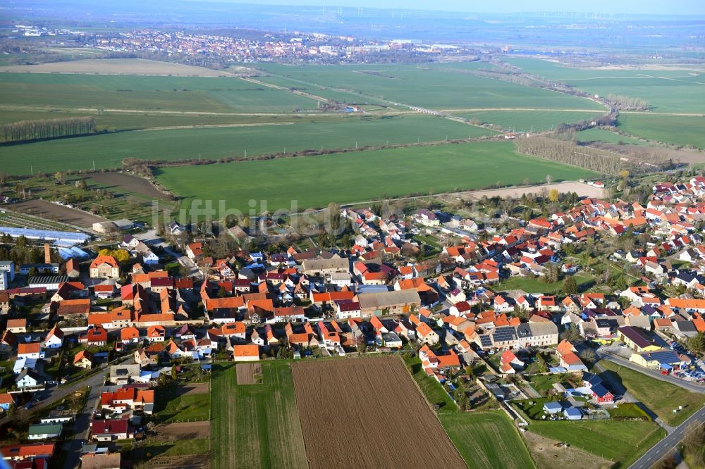 Luftaufnahme Reinsdorf - Ortsansicht am Rande von landwirtschaftlichen Feldern in Reinsdorf im Bundesland Thüringen, Deutschland