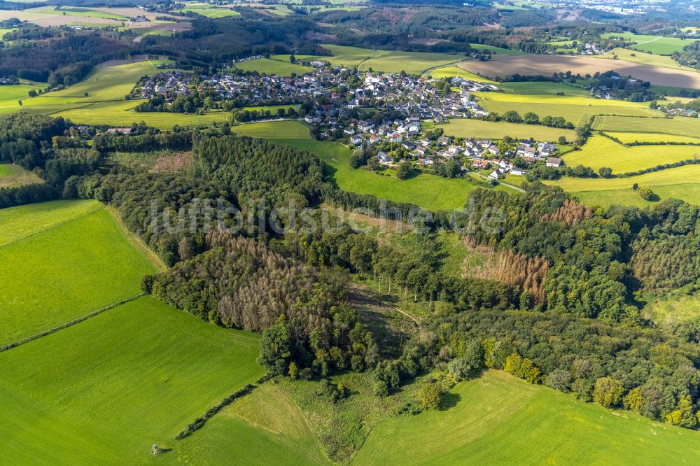 Luftbild Rüggeberg - Ortsansicht am Rande von landwirtschaftlichen Feldern in Rüggeberg im Bundesland Nordrhein-Westfalen, Deutschland