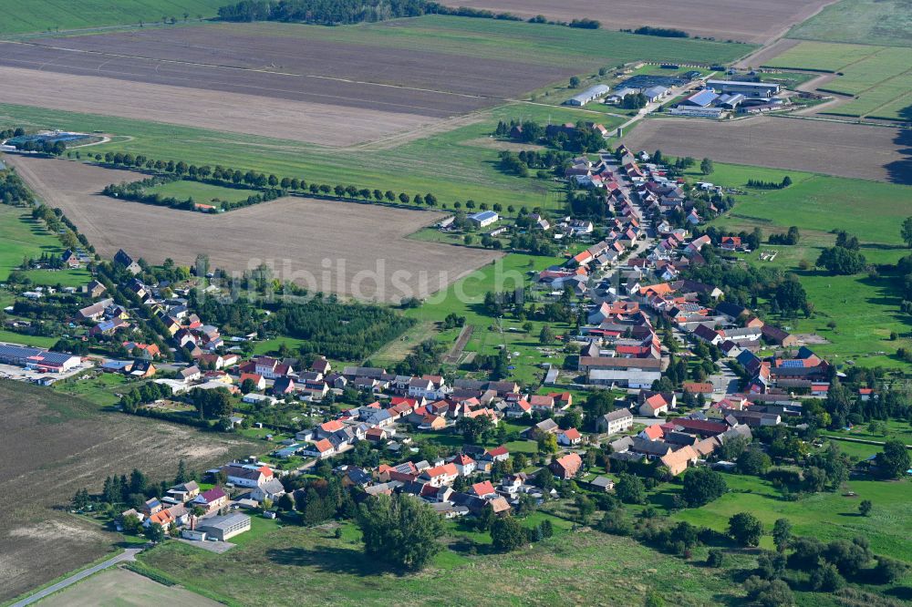 Rosian aus der Vogelperspektive: Ortsansicht am Rande von landwirtschaftlichen Feldern in Rosian im Bundesland Sachsen-Anhalt, Deutschland