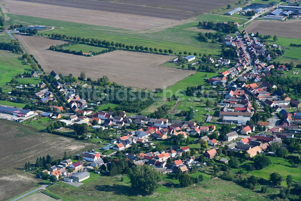 Luftbild Rosian - Ortsansicht am Rande von landwirtschaftlichen Feldern in Rosian im Bundesland Sachsen-Anhalt, Deutschland