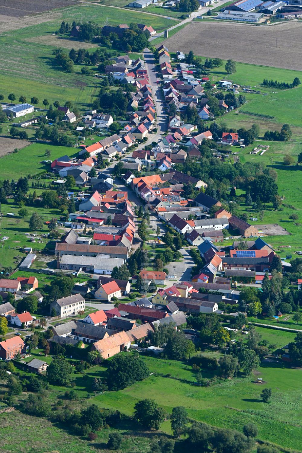 Luftaufnahme Rosian - Ortsansicht am Rande von landwirtschaftlichen Feldern in Rosian im Bundesland Sachsen-Anhalt, Deutschland