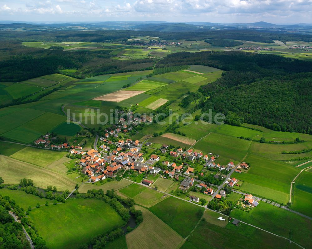 Sandlofs von oben - Ortsansicht am Rande von landwirtschaftlichen Feldern in Sandlofs im Bundesland Hessen, Deutschland